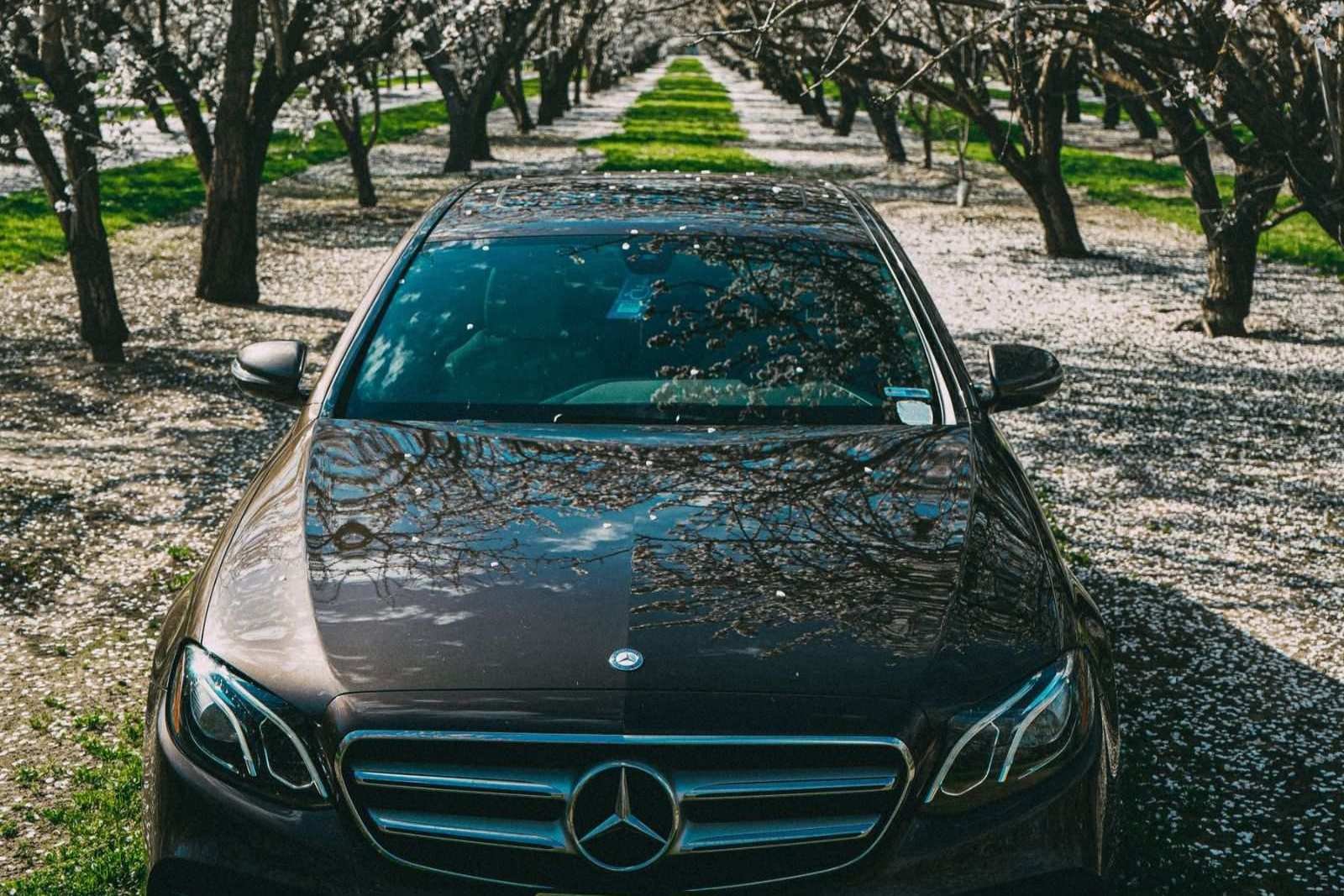 Berline noire avec chauffeur privé sur une allée fleurie en Bretagne